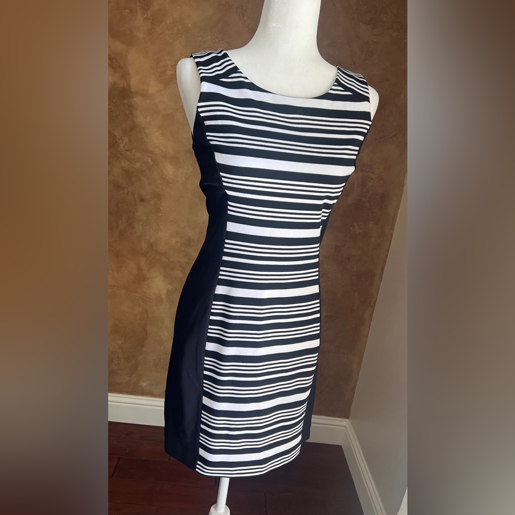 $80 Express Black & White Stripe Bodycon Sheath Dress Small